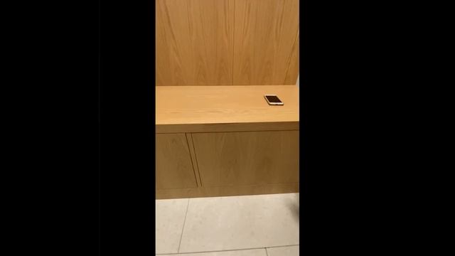 Прихожая встроенная. Шпон дуба. Фурнитура блюм. #прихожие #дубшпон смотреть онлайн