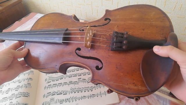 Как устроена скрипка. Строение скрипки