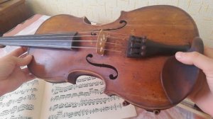 Как устроена скрипка. Строение скрипки