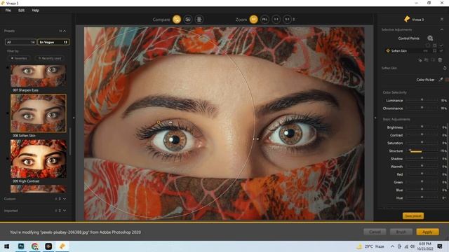 Nik Collection Tutorial - Viveza Photoshop and Lightroom смотреть онлайн