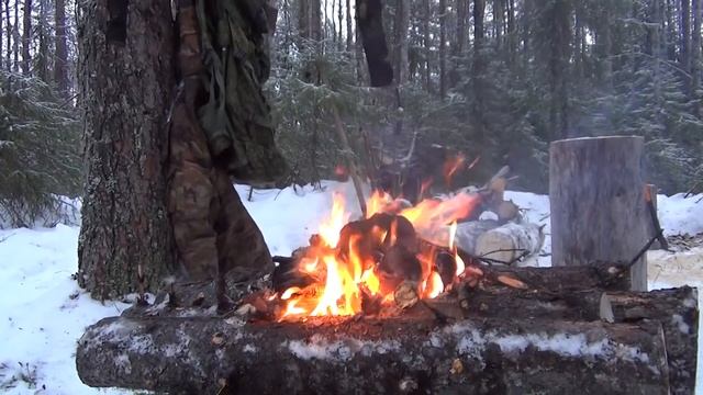 Лесными тропами поход выходного дня часть 2 смотреть онлайн