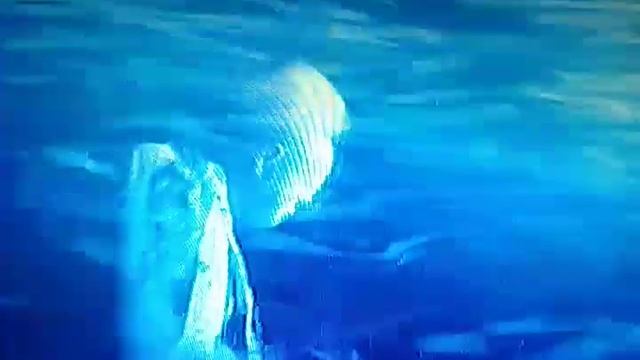 LE CIRQUE DU SOLEIL ALEGRIA SPETTACOLO COMPLETO