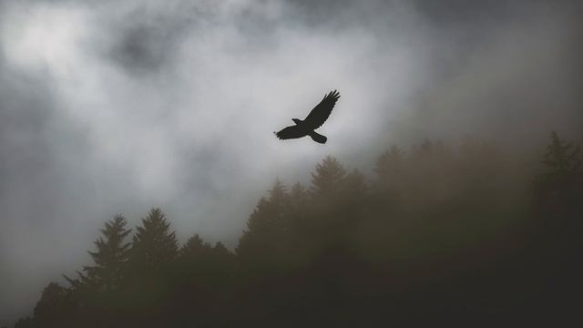 Wicked Game · Grace Carter | (Rain edition) Chris Isaak Cover смотреть онлайн