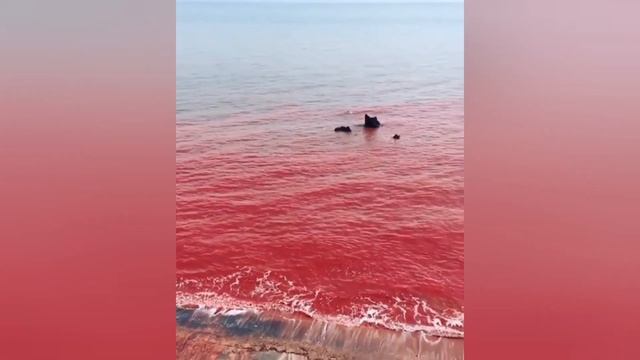 Красный пляж острова Ормуз/the red beach of Hormuz Island ? смотреть онлайн