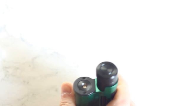 Paramour SBS Mod by Mechlyfe x Fallout Vape x Mrjustright1 Годно! смотреть онлайн