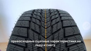 Зимние шины Nexen Winguard ice plus