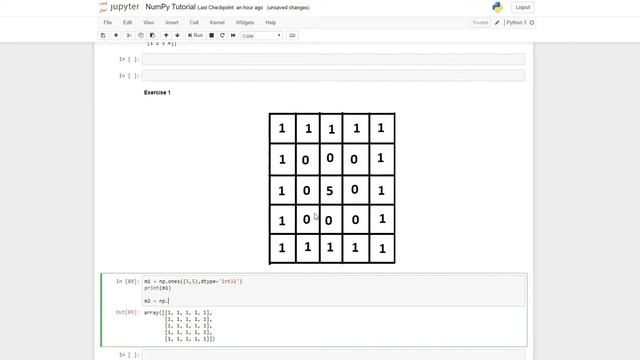 Exercise 1 | Python Numpy 8.0 смотреть онлайн