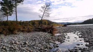 Верховья Саянских Гор, в поисках камнерезного сырья - Яшмы, Серпентинита. Как найти Нефрит?