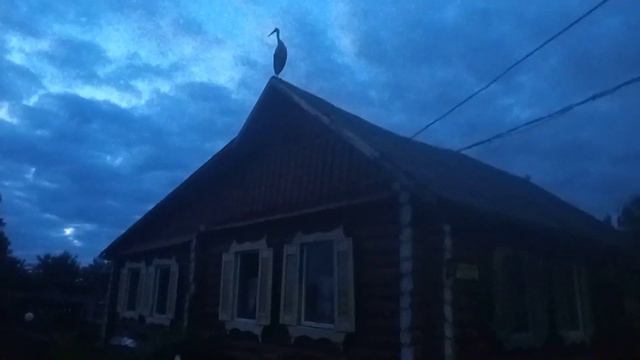 Аист на крыше дома смотреть онлайн