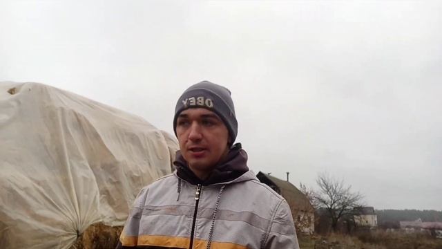 Кормление лошади с пола! Вовред или в пользу? смотреть онлайн