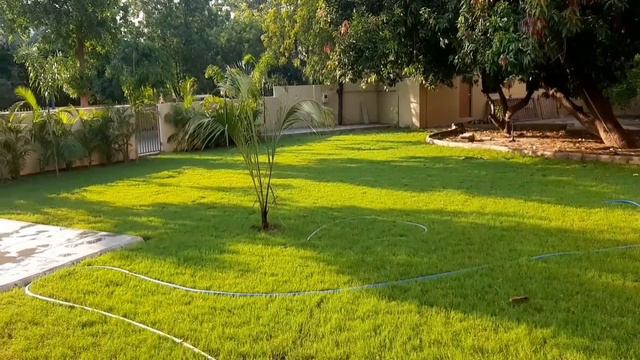 Garden Developed by Surya Nursery || #gardening #youtuber #gardeningideas смотреть онлайн