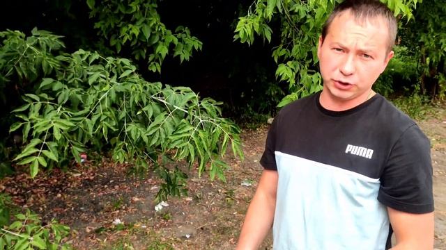 GOLDSTAR PARTY-BOX MAX PRO 1200W смотреть онлайн