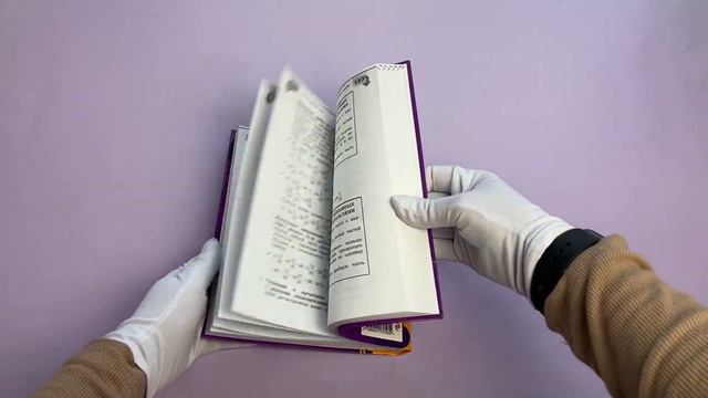 Справочник по математике для 5-6 классов