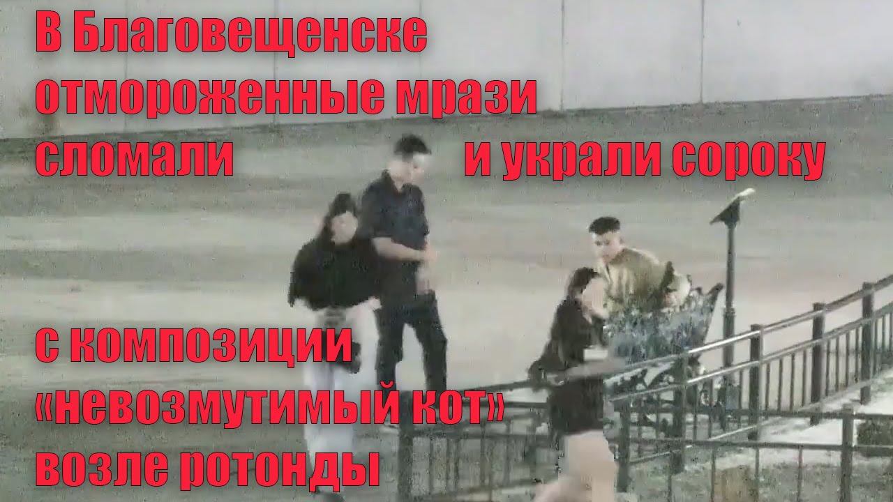 В Благовещенске отморозки сломали и украли сороку с известной композиции "невозмутимый кот" смотреть онлайн