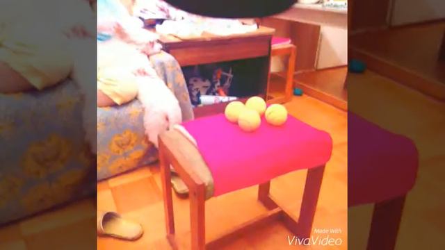 Наше рождество ! смотреть онлайн