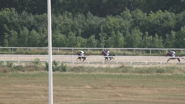 29.07.2018 - Большой Всероссийский приз - Панкратион смотреть онлайн