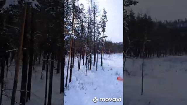 Завьялиха 2020 смотреть онлайн