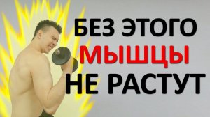 Без этого ваши мышцы расти не будут