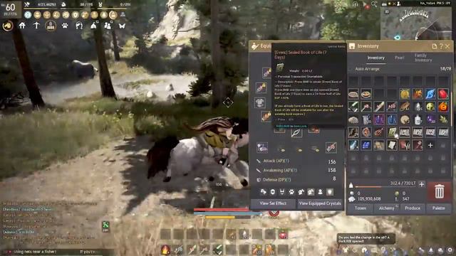 Quick start guide to horse training + pro tips & tricks - Black Desert Online Gameplay смотреть онлайн