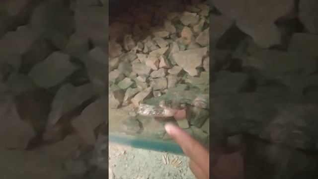 ПОЛНИ ВИДЕО ЗОПАРКИ🐒 ДУШАНБЕ ТАДЖИКИСТАН 🇹🇯 смотреть онлайн