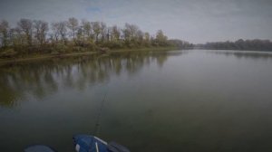 РЫБАЛКА НА КАРЬЕРАХ. ВСТРЕТИЛ СЕМЬЮ КАБАНОВ. Затерянный мир #рыбалка беляевские карьеры