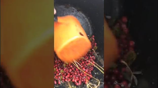 ? Осень, время сбора клюквы. смотреть онлайн