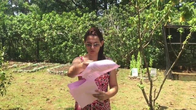 Projeto Integrador 6BI смотреть онлайн