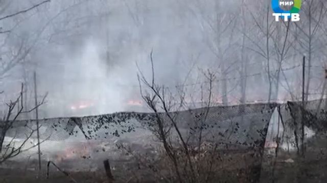в Домашлино сгорели дачные участки смотреть онлайн