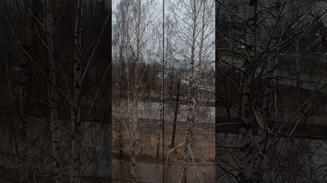 2022-11-13 смотреть онлайн