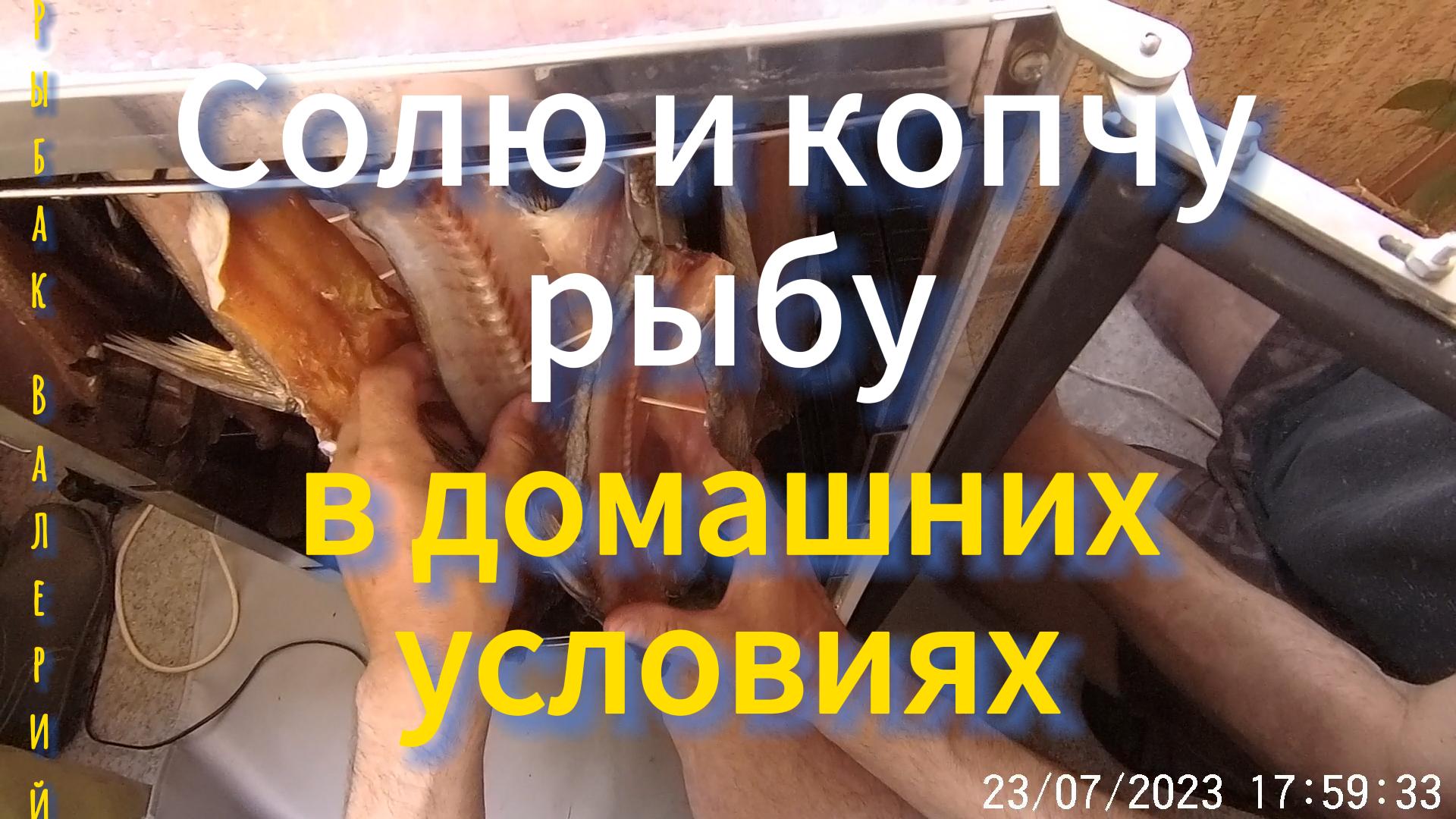 Солю и копчу рыбу в домашних условиях