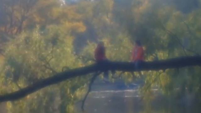 Впечатление под музыку смотреть онлайн