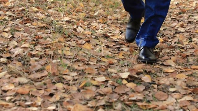 Осенняя свадьба. Свадебный ролик смотреть онлайн