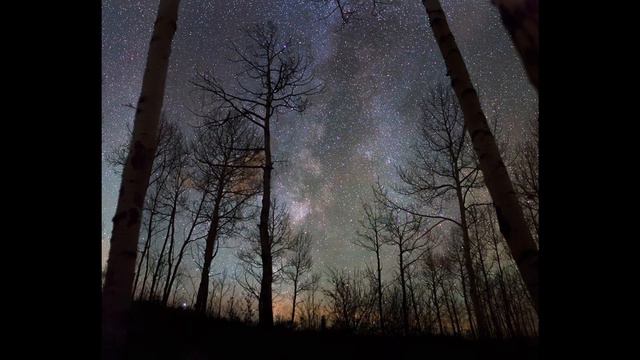 A short poem by Mary Oliver - Sleeping In The Forest смотреть онлайн