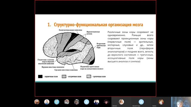Анатомия и физиология ребенка 3-4 года 2 часть смотреть онлайн