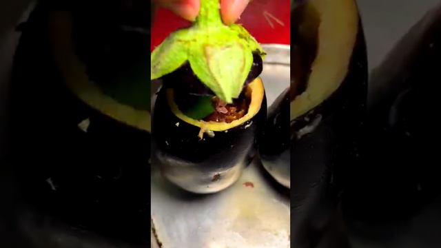 димляма в БАКЛАЖАНЕ