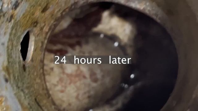 Building the BEST Puch Maxi Stunt Moped! смотреть онлайн