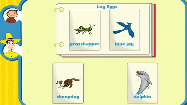 Curious George - Animal Scrapbook Full Episode Educational Cartoon смотреть онлайн