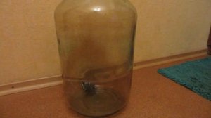 как быстро и качественно отмыть бутыль от винного камня