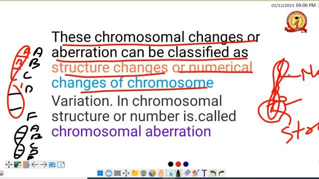 B.Sc. 1st Semester Zoology || Chromosomal Aberration || Ramkesh Sir || смотреть онлайн