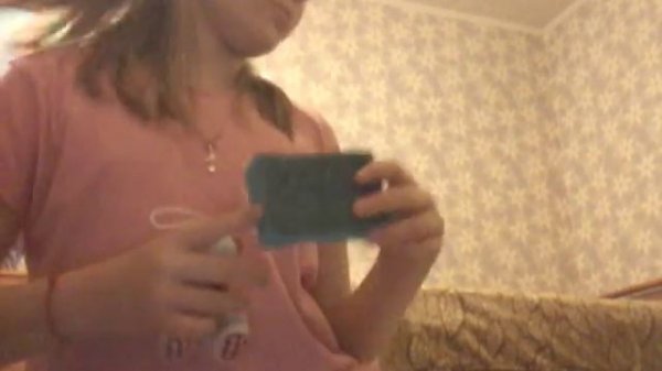 Игрушки для морских свинок