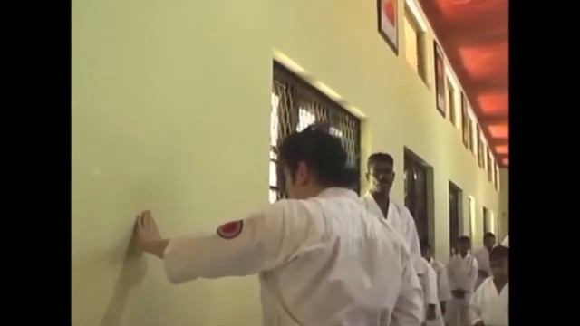 Asia karate seminar by SKIF Sensei Katsu TJ-Shuhari Shotokan Karate Association смотреть онлайн