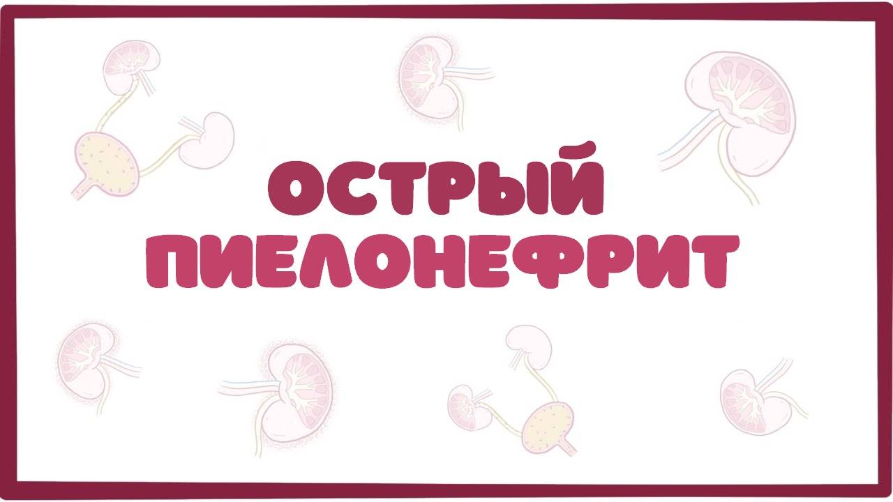 Острый пиелонефрит - причины, симптомы, терапия (лекция) Osmosis