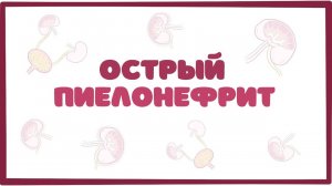 Острый пиелонефрит - причины, симптомы, терапия (лекция) Osmosis