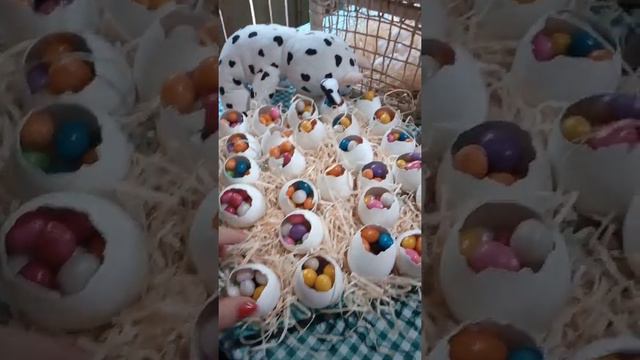 como decorar sem gastar muito (tema fazendinha) смотреть онлайн