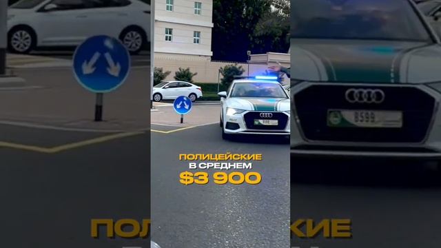 Какие зарплаты в Дубае