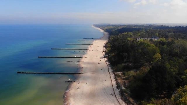 5 ПОЛЕЗНЫХ ПРИВЫЧЕК, которые ВКЛЮЧАЮТ в СВОЮ ЖИЗНЬ САМЫЕ УСПЕШНЫЕ люди МИРА смотреть онлайн