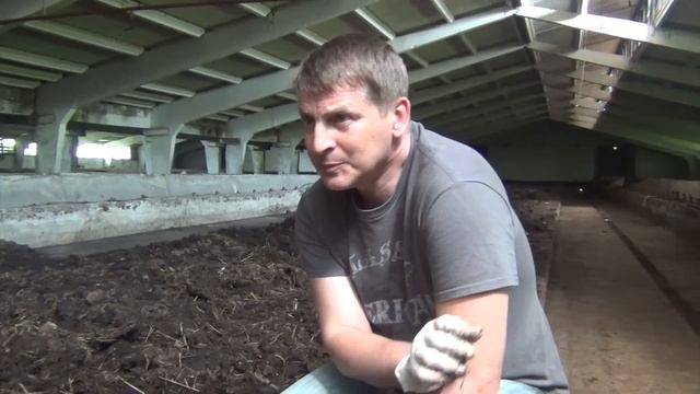 Как перерабатывать навоз кролика с помощью калифорнийского червя (вермикультивирование) смотреть онлайн