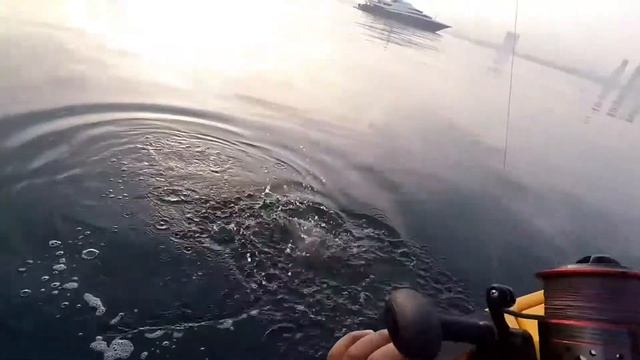 Kayak Fishing Dubai-Hammour (Grouper) on Soft Plastic смотреть онлайн