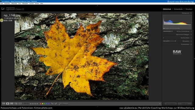 Aus JPEG RAW FOTOS MACHEN: Geht das? смотреть онлайн