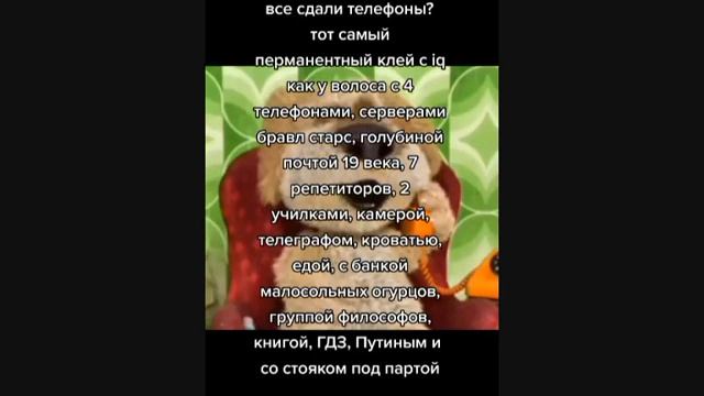 166. Тик-ток едет в Гондурас.mp4 смотреть онлайн